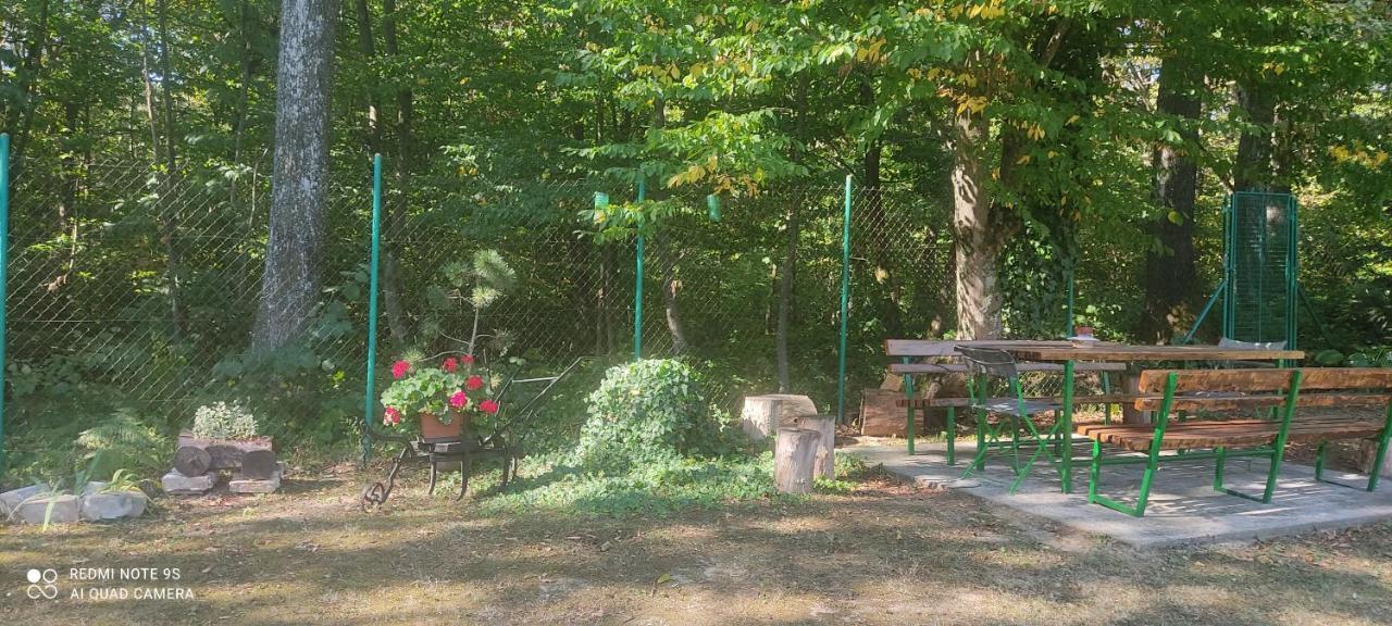 Holiday Home Nina Petrinja エクステリア 写真