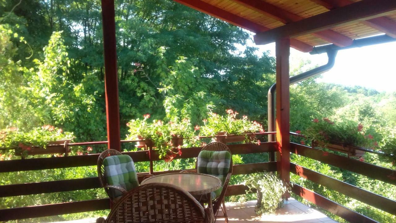 Holiday Home Nina Petrinja エクステリア 写真