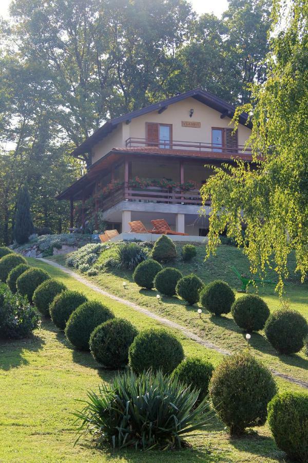Holiday Home Nina Petrinja エクステリア 写真